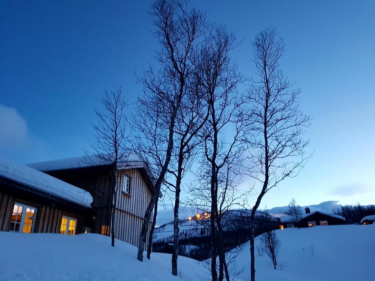 Sunny And Beautiful In Geilo
